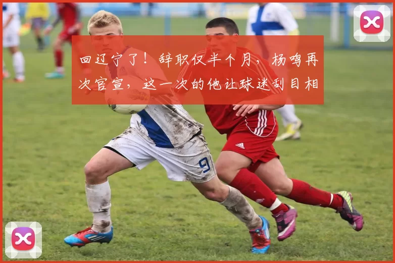 回辽宁了！辞职仅半个月，杨鸣再次官宣，这一次的他让球迷刮目相看