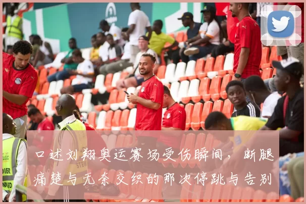 口述刘翔奥运赛场受伤瞬间，断腿痛楚与无奈交织的那次停跳与告别