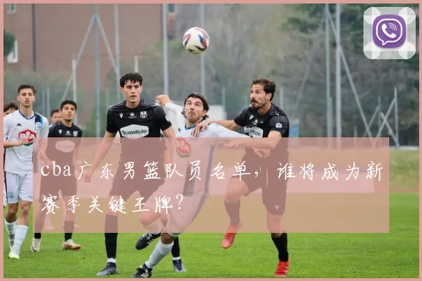 cba广东男篮队员名单，谁将成为新赛季关键王牌？