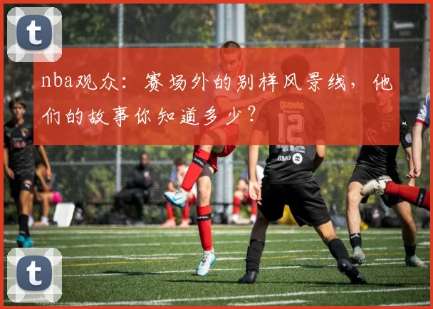 nba观众：赛场外的别样风景线，他们的故事你知道多少？