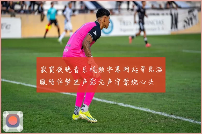 寂寞夜晚音乐视频字幕网站寻觅温暖陪伴梦里声影无声守萦绕心头