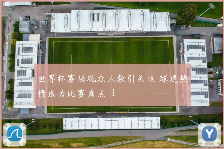 世界杯赛场观众人数引关注 球迷热情成为比赛看点_1