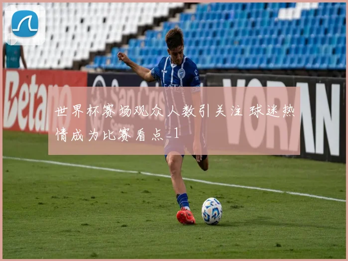 世界杯赛场观众人数引关注 球迷热情成为比赛看点_1