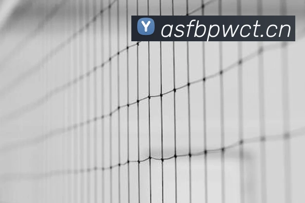 对战数据统计